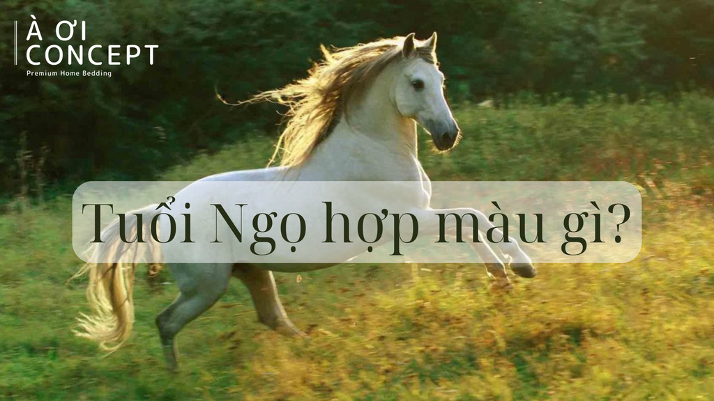 Tuổi Ngọ hợp màu gì? Gợi ý màu sắc phong thủy, trang phục, nội thất, xe cộ