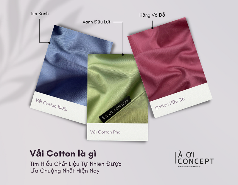 Vải cotton là gì? Ưu điểm, phân loại & ứng dụng cotton 100% – cotton organic