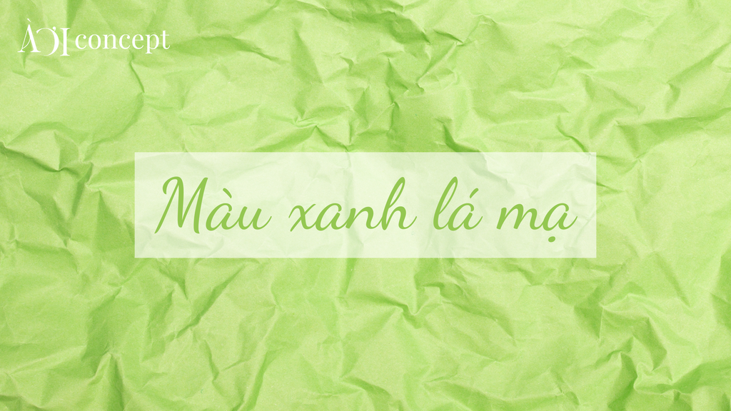 Xanh lá mạ là gì? Phối màu, phong thủy, ứng dụng nội thất & thời trang