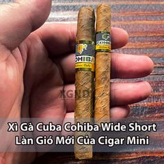 Xì Gà Cuba Cohiba Wide Short - Làn Gió Mới Của Cigar Mini