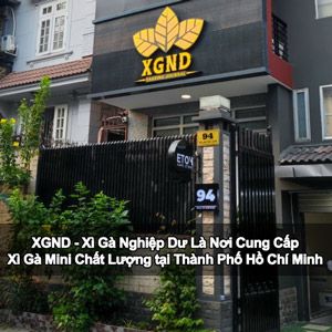 XGND Nơi Cung Cấp Xì Gà Mini Chất Lượng tại Thành Phố Hồ Chí Minh