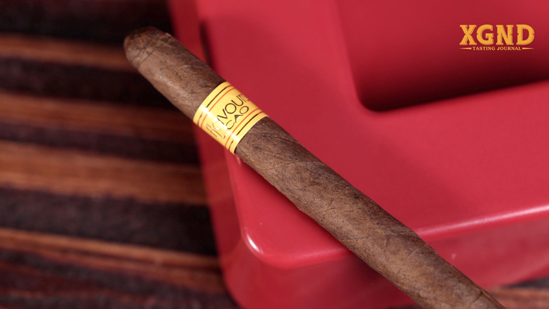Cigar CAO Flavours Bella Vanilla Tubo - Xì Gà Chính Hãng