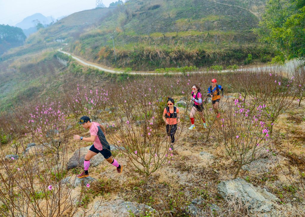 Bí quyết chinh phục địa hình chạy trail cho người mới bắt đầu