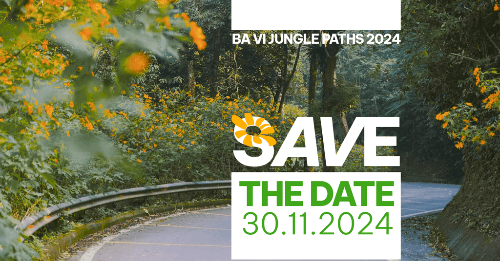 Ba Vi Jungle Paths - Thăng hoa cảm xúc giữa miền hoa dã quỳ