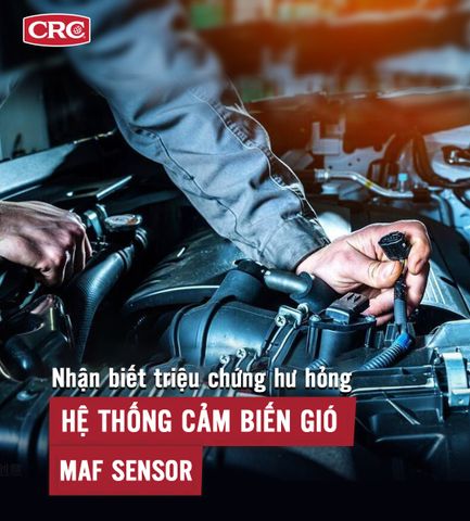 Nhận biết hư hỏng của cảm biến gió (Mass Air Flow Sensor).