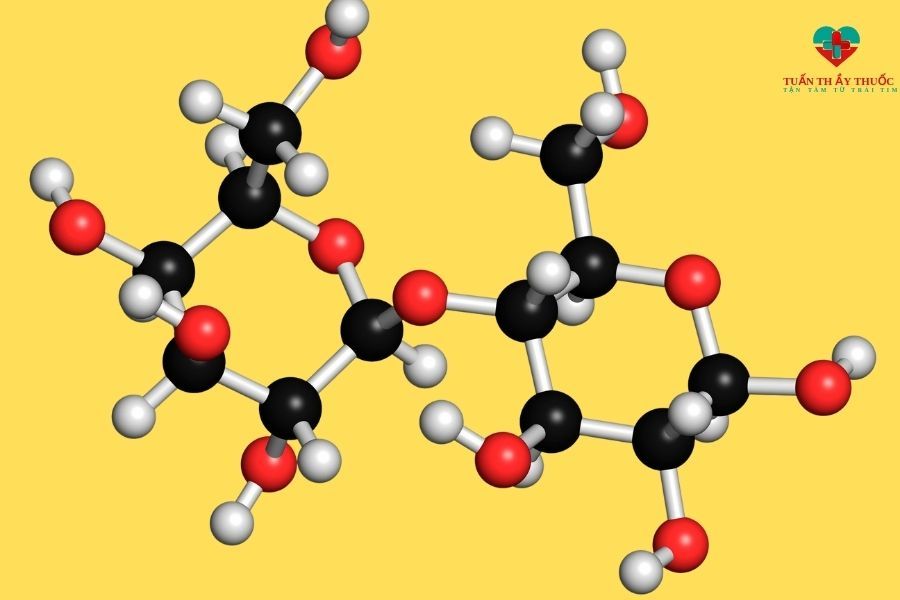 Lactase là gì? Cách bổ sung enzyme lactase cho cơ thể đúng nhất Amoma
