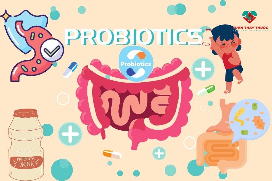 Probiotic là thuốc gì thuốc thần cho hệ tiêu hoá của bé Amano Nhật