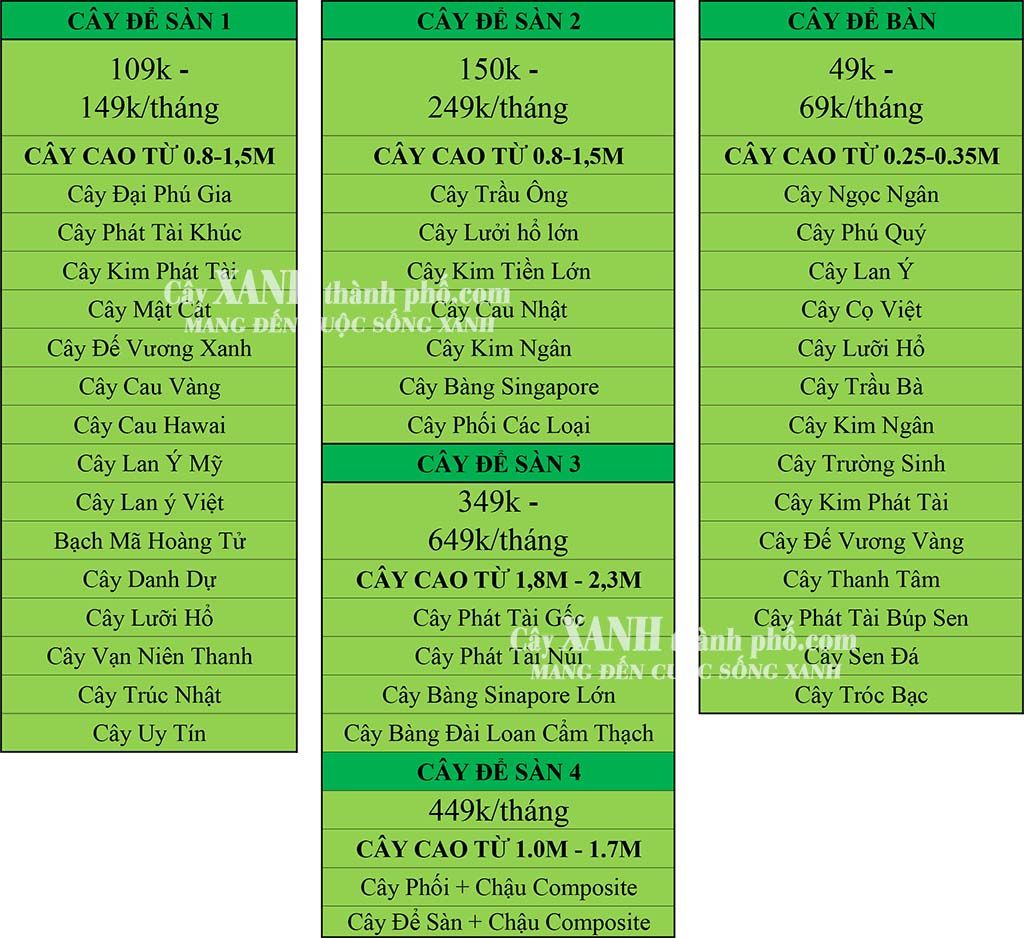 bảng giá cho thuê cây cảnh tại quận 1 tphcm