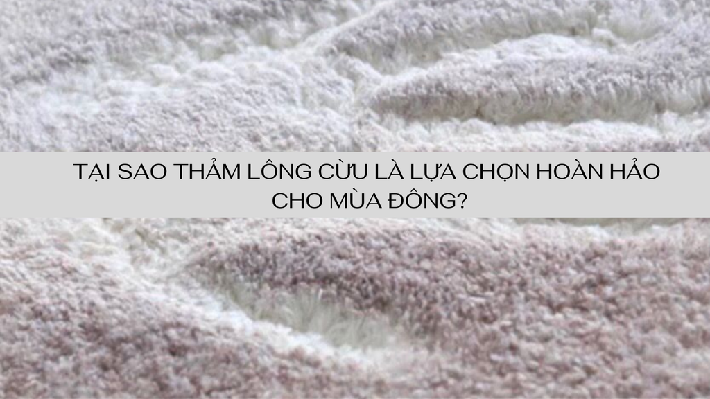 Tại sao thảm lông cừu là lựa chọn hoàn hảo cho mùa đông?
