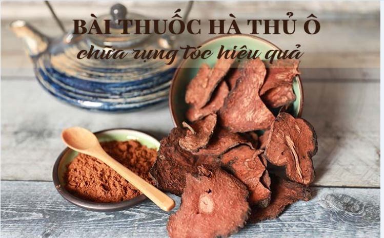 BÀI THUỐC DƯỢC LIỆU HIỆU QUẢ NGĂN CHẶN RỤNG TÓC TỪ HÀ THỦ Ô ĐỎ