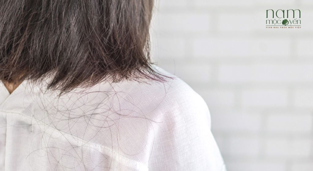 6 TIẾT LỘ QUAN TRỌNG CỦA MÁI TÓC CHO BIẾT TÌNH TRẠNG SỨC KHỎE CỦA BẠN