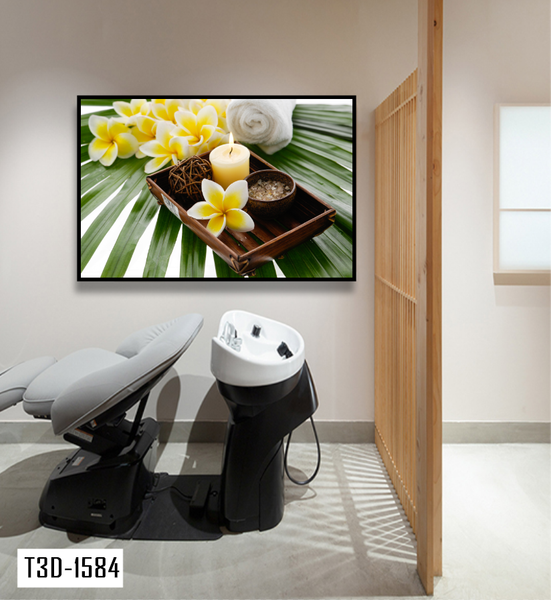 Tranh treo tường spa