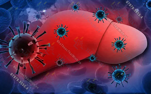 Viêm gan C gây ra do virus Hepatitis C tấn công vào tế bào gan