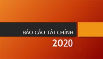 Báo cáo tài chính công ty năm 2020