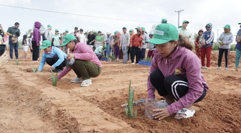 Ninh Thuận: Trao tặng 300.000 cây giống nha đam cho bà con đồng bào Raglai ổn định sinh kế