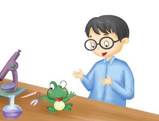 Truyện cổ tích Ếch xanh tìm bác sĩ