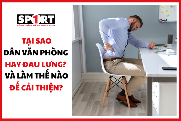 TẠI SAO DÂN VĂN PHÒNG HAY ĐAU LƯNG? LÀM CÁCH NÀO ĐỂ CẢI THIỆN VẤN ĐỀ NÀY?