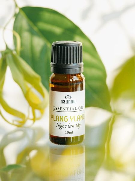 Tinh dầu Ylang Ylang (Ngọc Lan Tây) 10ml