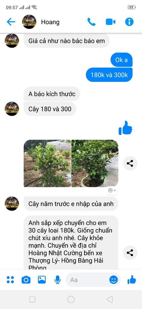 Nhà Vườn Khánh Võ Lừa Đảo Không? Nhà Vườn Khánh Võ như thế nào? Các cây ngoại nhập và cây giống độc lạ có thể trồng được ở Việt Nam có thật không?