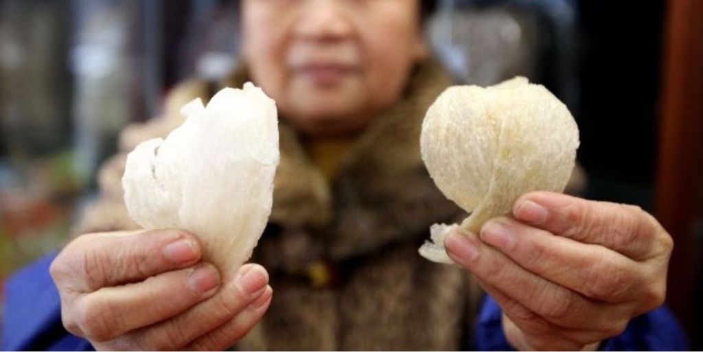 NHỮNG CÁCH PHÂN BIỆT NƯỚC YẾN THIÊN NHIÊN THẬT GIẢ