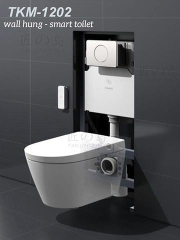 Cách Lắp Đặt Smart Toilet Treo Tường