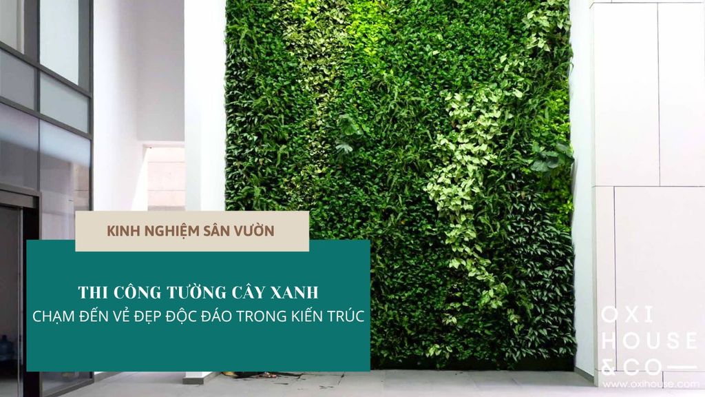 THI CÔNG TƯỜNG CÂY XANH - CHẠM ĐẾN VẺ ĐẸP ĐỘC ĐÁO TRONG KIẾN TRÚC