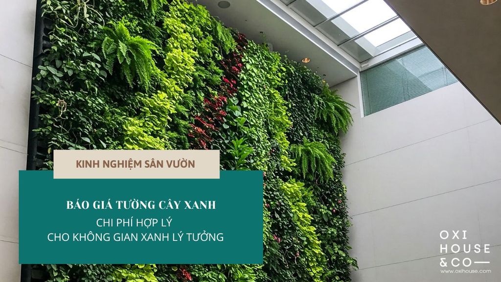BÁO GIÁ TƯỜNG CÂY XANH - CHI PHÍ HỢP LÝ CHO KHÔNG GIAN XANH LÝ TƯỞNG
