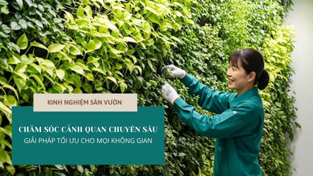 Chăm sóc cảnh quan chuyên sâu - Giải pháp tối ưu cho mọi không gian