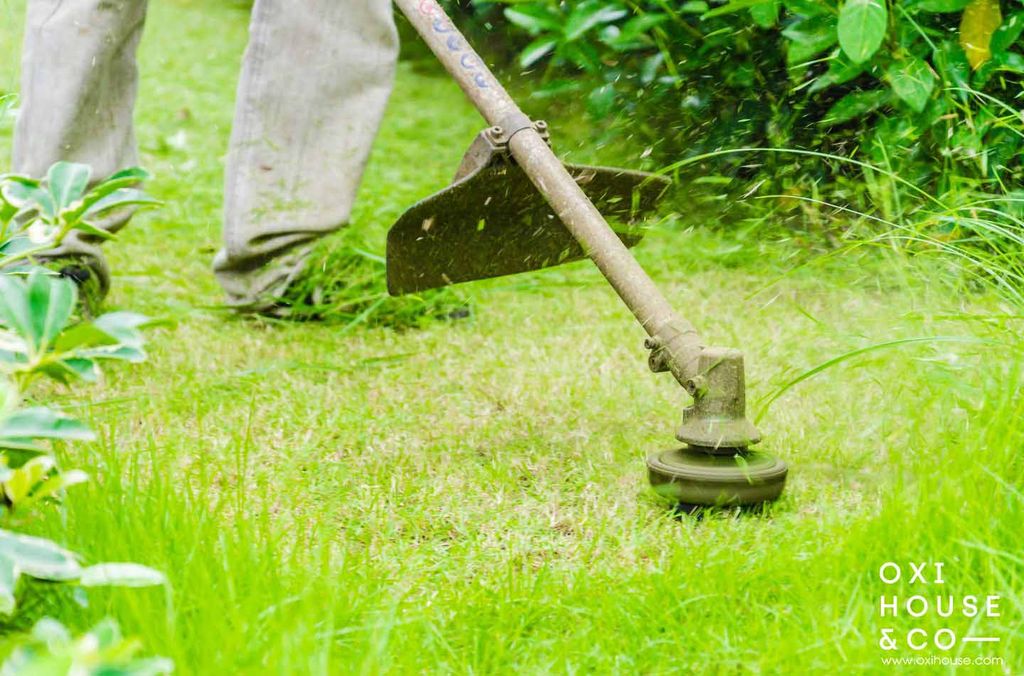 Liên hệ ngay dịch vụ cắt cỏ tại TPHCM giá cả hợp lý