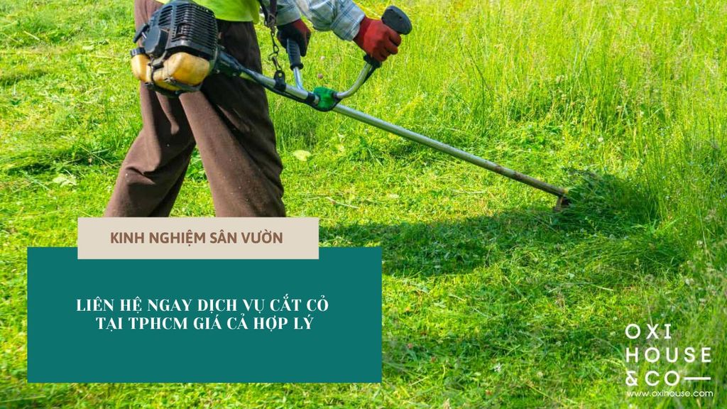 Liên hệ ngay dịch vụ cắt cỏ tại TPHCM giá cả hợp lý