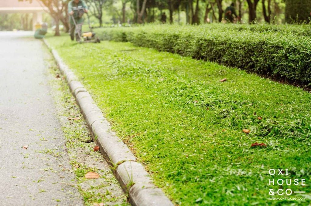 Dịch vụ cắt cỏ chuyên nghiệp, gọn gàng, sạch đẹp