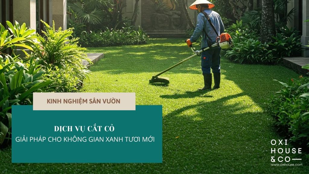 DỊCH VỤ CẮT CỎ - GIẢI PHÁP CHO KHÔNG GIAN XANH TƯƠI MỚI