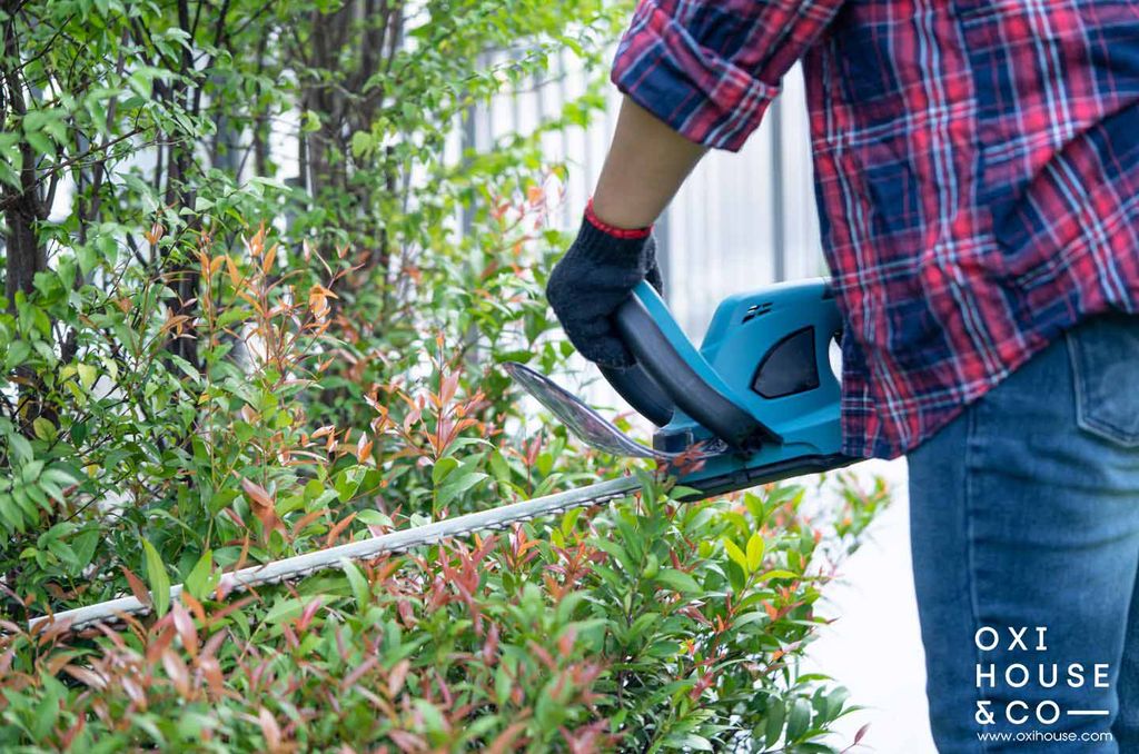 Dịch vụ chăm sóc sân vườn chuyên nghiệp, tận tâm
