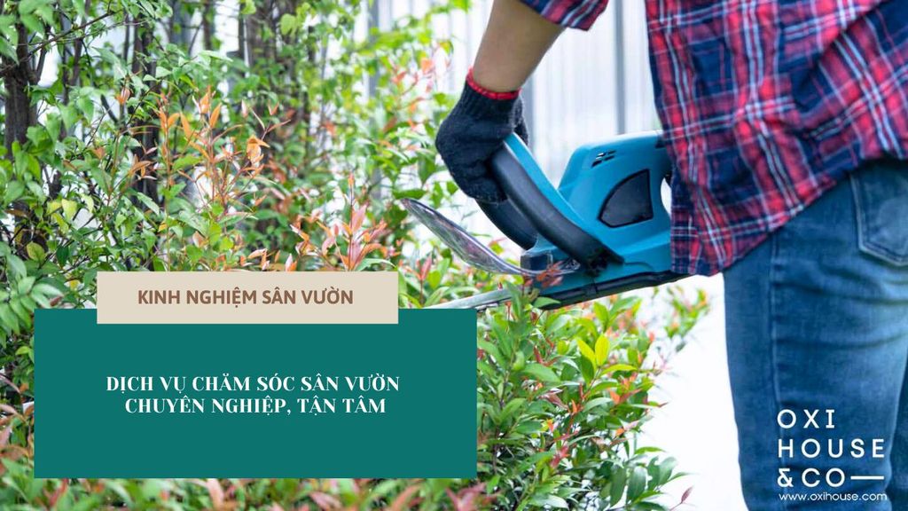 Dịch vụ chăm sóc sân vườn chuyên nghiệp, tận tâm
