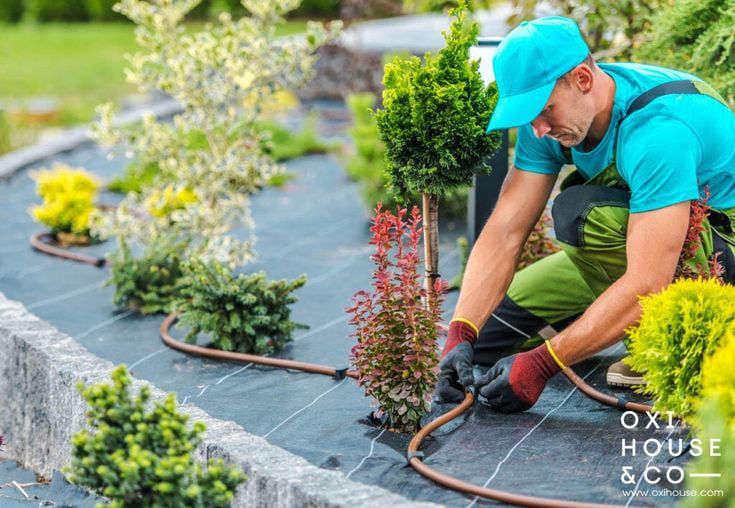 Lắp đặt hệ thống tưới cây thông minh, chăm sóc cây trồng dễ dàng