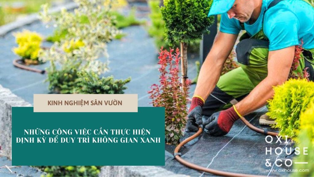 NHỮNG CÔNG VIỆC CẦN THỰC HIỆN ĐỊNH KỲ ĐỂ DUY TRÌ KHÔNG GIAN XANH