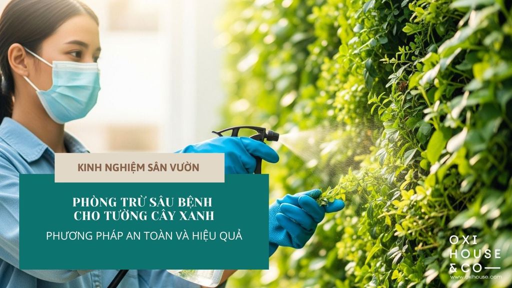 PHÒNG TRỪ SÂU BỆNH CHO TƯỜNG CÂY XANH - PHƯƠNG PHÁP AN TOÀN VÀ HIỆU QUẢ