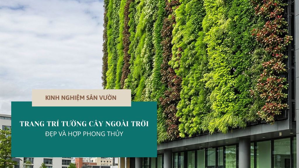 TRANG TRÍ TƯỜNG CÂY NGOÀI TRỜI ĐẸP VÀ HỢP PHONG THỦY