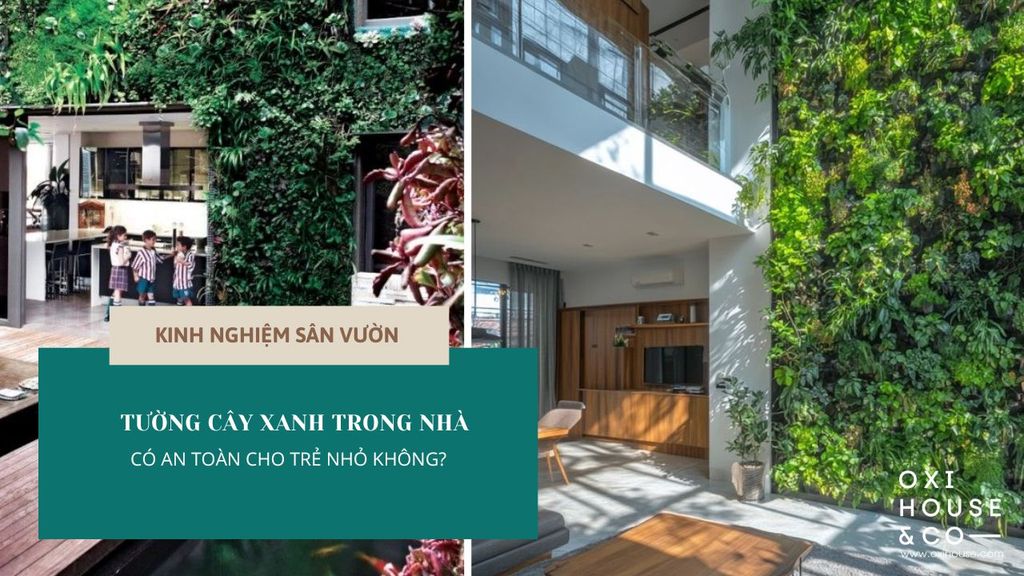 TƯỜNG CÂY XANH TRONG NHÀ CÓ AN TOÀN CHO TRẺ NHỎ KHÔNG?