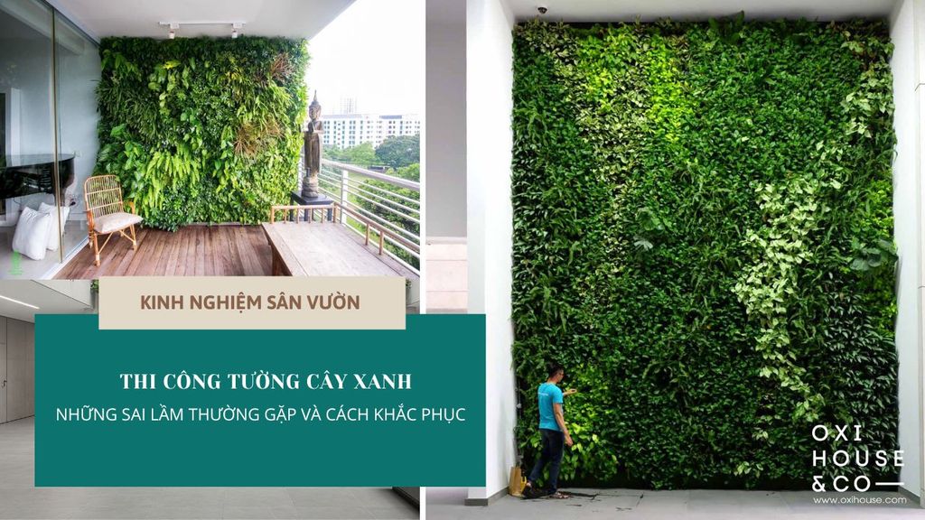 THI CÔNG TƯỜNG CÂY XANH: NHỮNG SAI LẦM THƯỜNG GẶP VÀ CÁCH KHẮC PHỤC