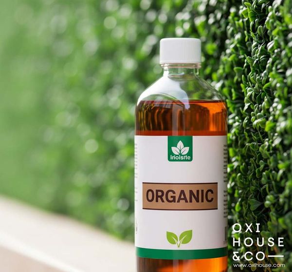 PHÒNG TRỪ SÂU BỆNH CHO TƯỜNG CÂY XANH