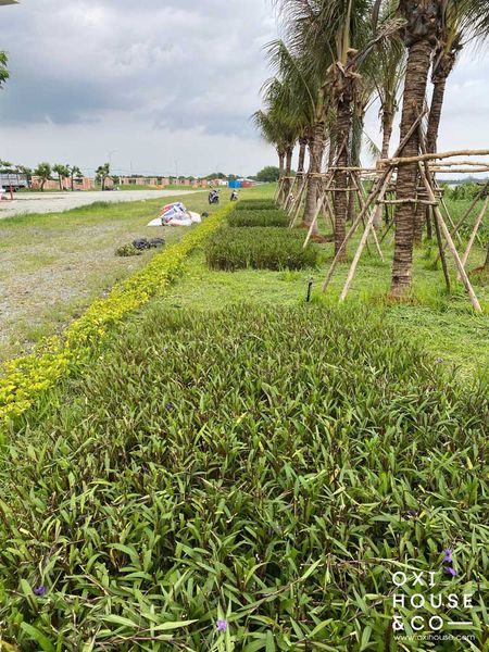 QUẢN LÝ CẢNH QUAN NHÀ MÁY