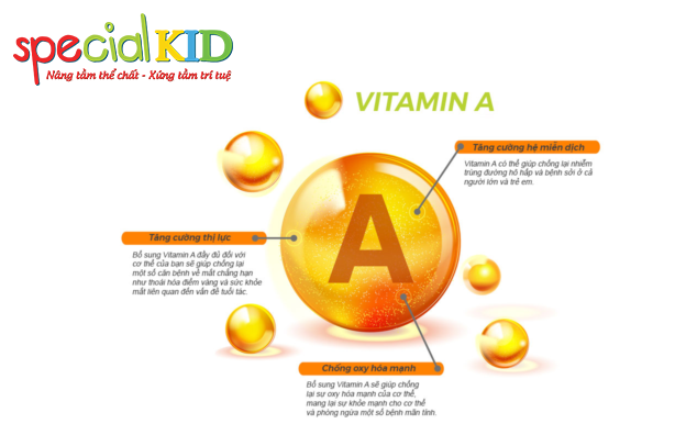 Dược lý và cơ chế tác dụng của Vitamin A