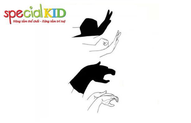tạo hình bóng bằng tay giúp trẻ nhận biết con vật | Special Kid