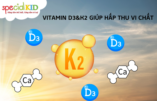 Vitamin D3K2 giúp hấp thu canxi | Special Kid