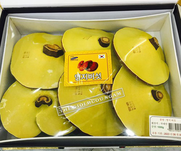 Hình ảnh hộp nấm linh chi vàng Hàn Quốc Yoohak Samsung hộp vàng gấm 1kg