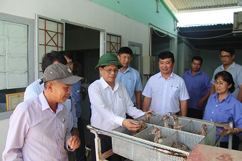 Chủ tịch UBND tỉnh Nguyễn Tấn Tuân thăm Trung tâm Giống đà điểu Khatoco Ninh Hòa