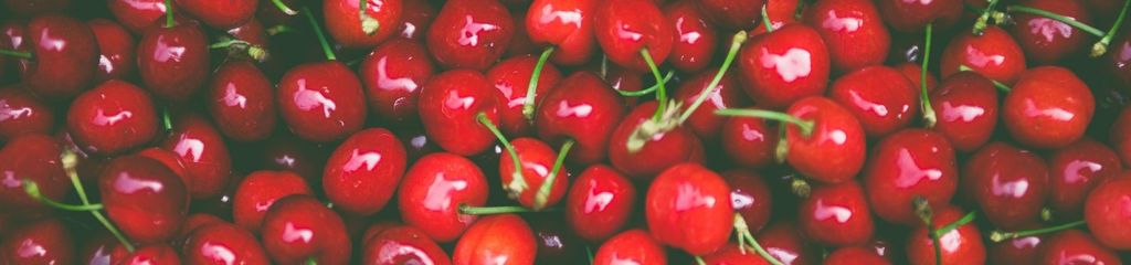 Cherry Úc – mùa vụ và những điều có thể bạn chưa biết
