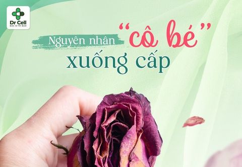 NGUYÊN NHÂN NÀO KHIẾN