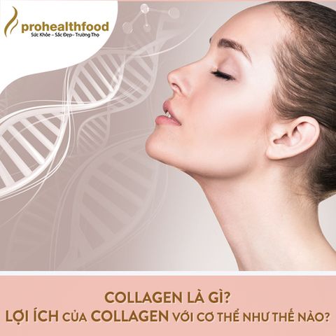 Collagen là gì ? Lợi ích của Collagen với cơ thể như thế nào ?